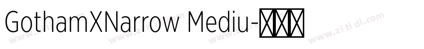 GothamXNarrow Mediu字体转换